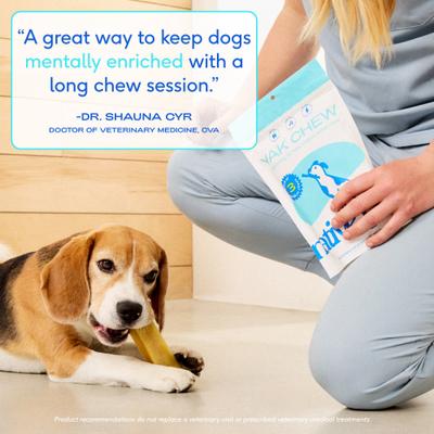 Show full view: Native Pet Yak Dental Chews Himalayan Cheese Large Dog Treats, 3 count slide 6 of 9