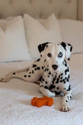 Tugzelle Chew Chunk Dog Toy, Green slide 2 of 6