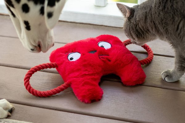 Show full view: Tugzelle Pawzzle Pull Plush Dog Toy, Red slide 3 of 5