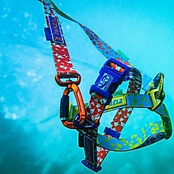 Tuenne Geo Oceanproof Dog Leash, 6-ft long, 1-in wide, Yellow slide 2 of 6