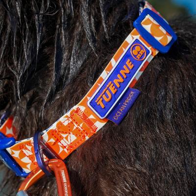 Show full view: Tuenne Geo Oceanproof Dog Collar, Orange, Large: 28-in neck, 1-in wide slide 3 of 8