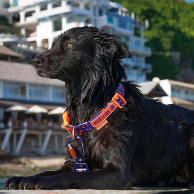 Show full view: Tuenne Geo Oceanproof Dog Collar, Navy, Medium: 22.5-in neck, 1-in wide slide 2 of 7