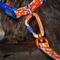 Show in main carousel: Tuenne Geo Oceanproof Dog Leash, 6-ft long, 1-in wide, Orange slide 2 of 6