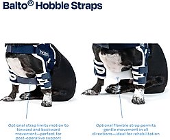 Balto Lux Dog Shoulder Brace, Small slide 2 of 8