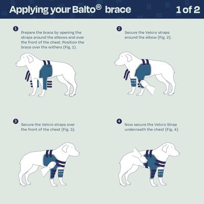 Show full view: Balto Lux Dog Shoulder Brace, Small slide 5 of 10