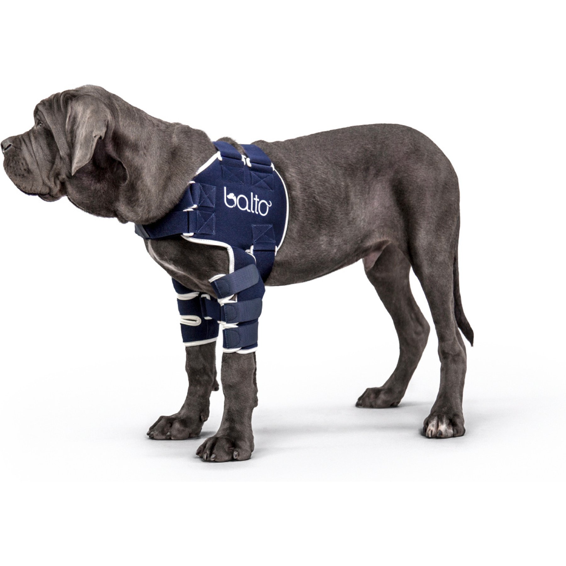 Balto Lux Dog Shoulder Brace, Small