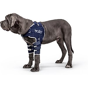 Balto Lux Dog Shoulder Brace, Large