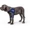 Show in main carousel: Balto Lux Dog Shoulder Brace, Small slide 1 of 10
