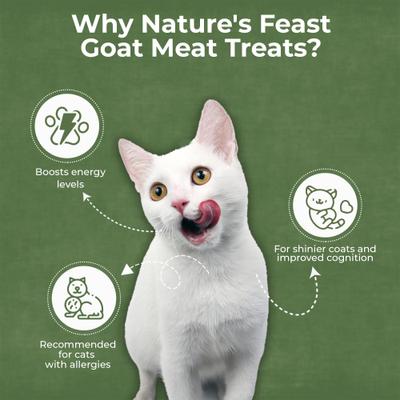 Show full view: Pawfect Nature's Feast Goat Meat Grain-Free All Natural Freeze-Dried Cat Training Treat, 1.76-oz canister slide 5 of 11