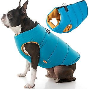 Gooby Padded Dog Vest, Turquoise, Small
