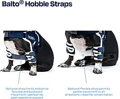 Balto Lux Dog Shoulder Brace, Large slide 2 of 8