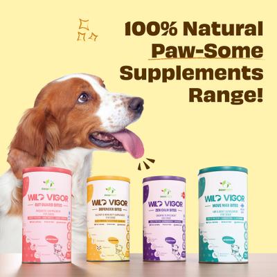 Show full view: Pawfect Wild Vigor All Natural Grain-Free Probiotic Supplement Chews for Dogs, 60 count slide 8 of 10