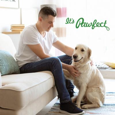 Show full view: Pawfect Wild Vigor All Natural Grain-Free Probiotic Supplement Chews for Dogs, 60 count slide 9 of 10