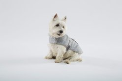 L.L.Bean Sweater Fleece Dog Coat, Pewter, Small