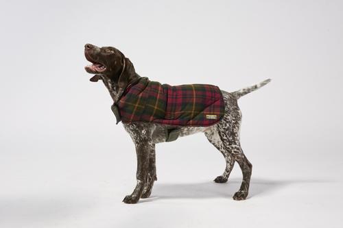 Show full view: L.L.Bean Reversible Field Dog Coat, Olive, X-Large slide 2 of 4