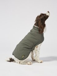 L.L.Bean Reversible Field Dog Coat, Olive, X-Large