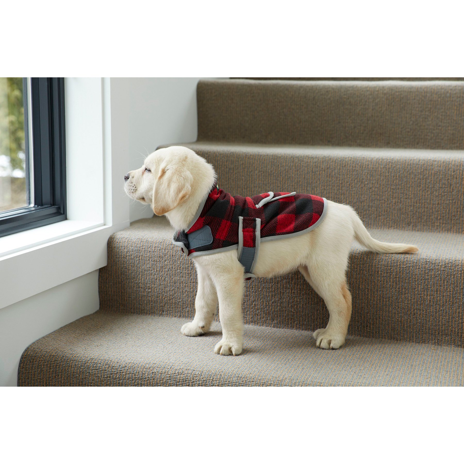 L.L.Bean Sweater Fleece Dog Coat, Buffalo Plaid, Medium