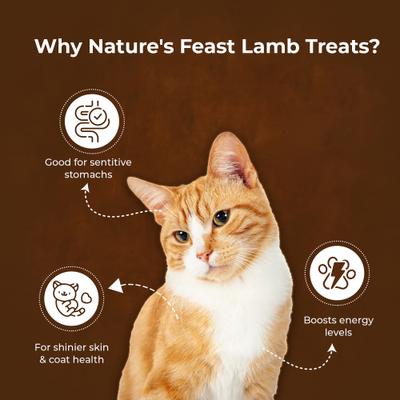 Show full view: Pawfect Nature's Feast Lamb Meat Grain-Free All Natural Freeze-Dried Cat Training Treat, 1.76-oz canister slide 5 of 11