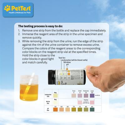 Show full view: PetTest Urinary Tract Infection Dog & Cat Test Strips, 50 count slide 4 of 5