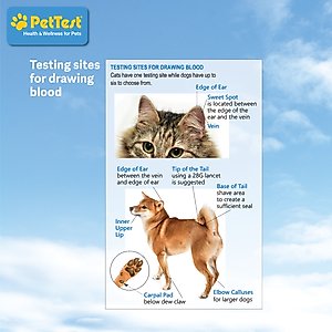 PetTest Blood Glucose Test Strips for Dogs & Cats, 50 strips