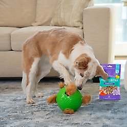 Outward Hound by Nina Ottosson Puzzle Bitez Pumpkin Flavored Dog Treats, 7.5-oz bag slide 2 of 8