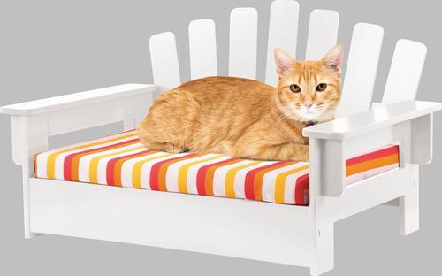 Show full view: Etna Adirondack Chair Elevated Dog Bed slide 3 of 3