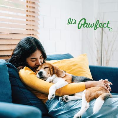 Show full view: Pawfect All Natural Peanut Butter Grain-Free Food Topper & Lickable Dog Treat, 9.70-oz jar slide 8 of 9