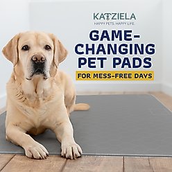 Katziela Washable Dog Pee Pads, 48 x 48-in, 2 count slide 2 of 8