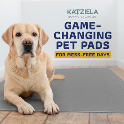 Show full view: Katziela Washable Dog Pee Pads, 48 x 48-in, 2 count slide 8 of 8