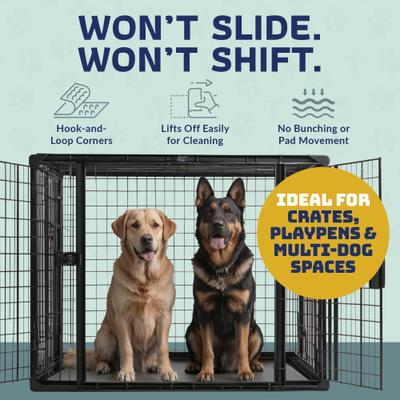 Show full view: Katziela Washable Dog Pee Pads, 34 x 52-in, 2 count slide 6 of 8