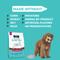 Show in main carousel: KOHA Limited Ingredient Bland Diet Sensitive Stomach Beef & Brown Rice with Pumpkin Dry Food Dog Food, 3.5-lb bag slide 5 of 11