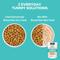 Show in main carousel: KOHA Limited Ingredient Bland Diet Sensitive Stomach Chicken & Brown Rice with Pumpkin Dry Food Dog Food, 20-lb bag slide 8 of 11