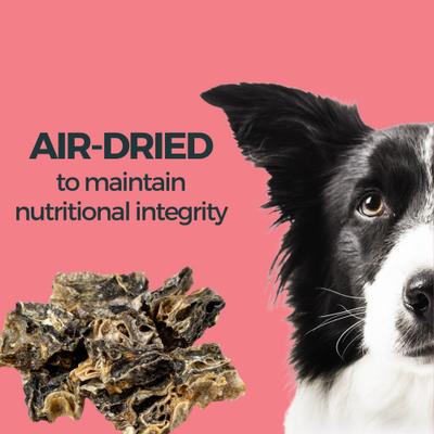 Show full view: KOHA Air-Dried Single Ingredient Cod Skins Natural Chew Dog Treats, 2.5-oz bag slide 5 of 6