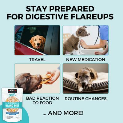 Show full view: KOHA Limited Ingredient Bland Diet Sensitive Stomach Lamb & White Rice Wet Dog Food, 12.5-oz pouch, case of 6 slide 7 of 10