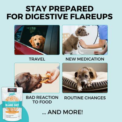 Show full view: KOHA Limited Ingredient Bland Diet Sensitive Stomach Chicken & White Rice Wet Dog Food, 12.5-oz pouch, case of 6 slide 7 of 10
