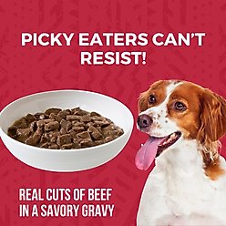 KOHA Beef Stew High Protein Limited Ingredient Wet Dog Food, 12.7-oz can, case of 12 slide 2 of 7