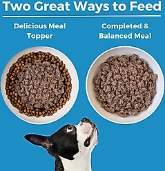 KOHA Limited Ingredient Diet Lamb Entree Grain-Free Wet Dog Food, 13-oz can, case of 3 slide 2 of 6