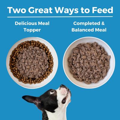Show full view: KOHA Limited Ingredient Diet Lamb Entree Grain-Free Wet Dog Food, 13-oz can, case of 3 slide 6 of 9