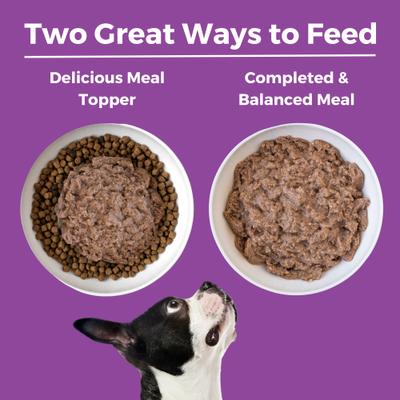 KOHA Limited Ingredient Diet Kangaroo Entree Grain-Free Wet Dog Food