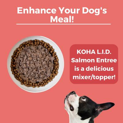 Show full view: KOHA Limited Ingredient Diet Salmon Entree Grain-Free Wet Dog Food, 13-oz can, case of 3 slide 6 of 9