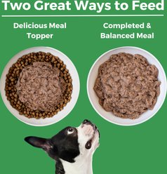 KOHA Limited Ingredient Diet Turkey Entree Grain-Free Wet Dog Food, 13-oz can, case of 12 slide 2 of 6