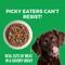 Show in main carousel: KOHA Pike Place Platter Slow Cooked Stew High Protein Wet Dog Food, 12.7-oz can, case of 12 slide 4 of 8