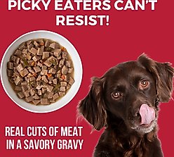 KOHA Lone Star Brisket Slow Cooked Stew High Protein Wet Dog Food, 12.7-oz can, case of 12 slide 2 of 6