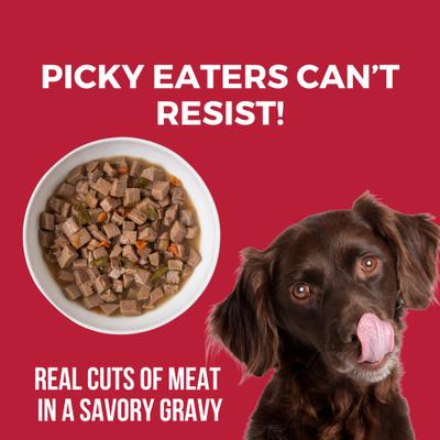 Show full view: KOHA Lone Star Brisket Slow Cooked Stew High Protein Wet Dog Food, 12.7-oz can, case of 12 slide 5 of 8