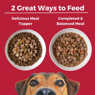 Show full view: KOHA Lone Star Brisket Slow Cooked Stew High Protein Wet Dog Food, 12.7-oz can, case of 12 slide 4 of 8