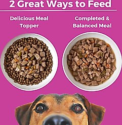 KOHA Santa Fe Skillet Slow Cooked Stew for Dogs Wet Dog Food, 12.7-oz can, case of 12 slide 2 of 6