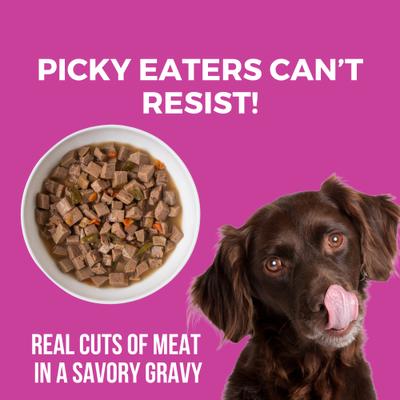 Show full view: KOHA Santa Fe Skillet Slow Cooked Stew for Dogs Wet Dog Food, 12.7-oz can, case of 12 slide 4 of 8