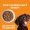 Show in main carousel: KOHA Big Easy Feast Slow Cooked Stew High Protein Wet Dog Food, 12.7-oz can, case of 12 slide 4 of 8