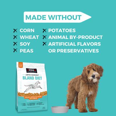 Show full view: KOHA Limited Ingredient Bland Diet Sensitive Stomach Chicken & Brown Rice with Pumpkin Dry Food Dog Food, 3.5-lb bag slide 5 of 11