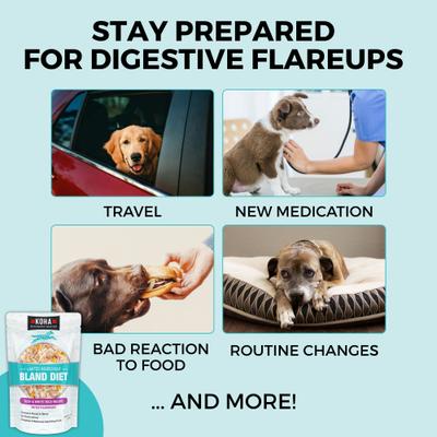 Show full view: KOHA Limited Ingredient Bland Diet Sensitive Stomach Beef & White Rice Wet Dog Food, 12.5-oz pouch, case of 6 slide 7 of 10